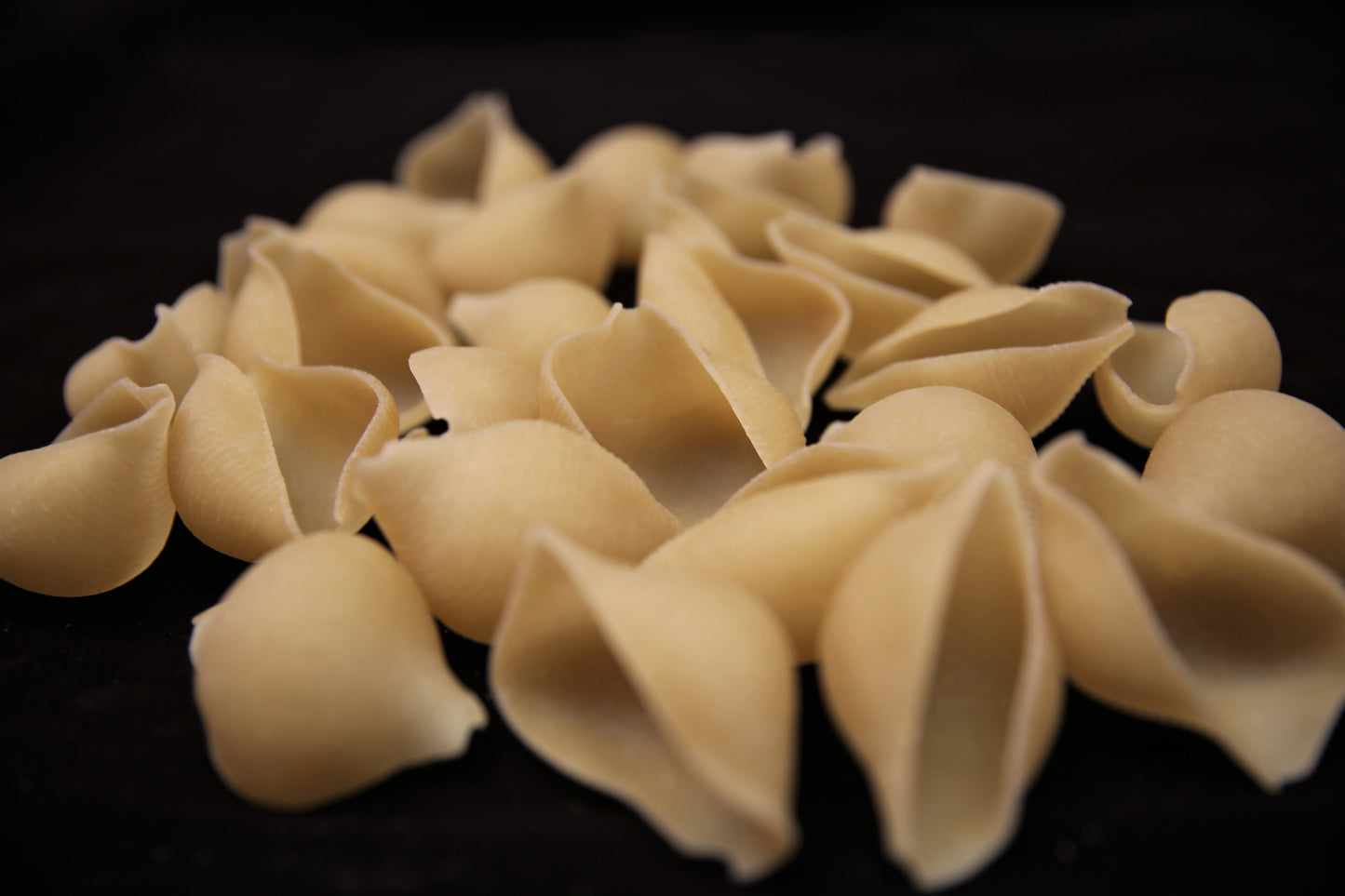 Tinkyada Gluten Free Brown Rice Grand Shell
